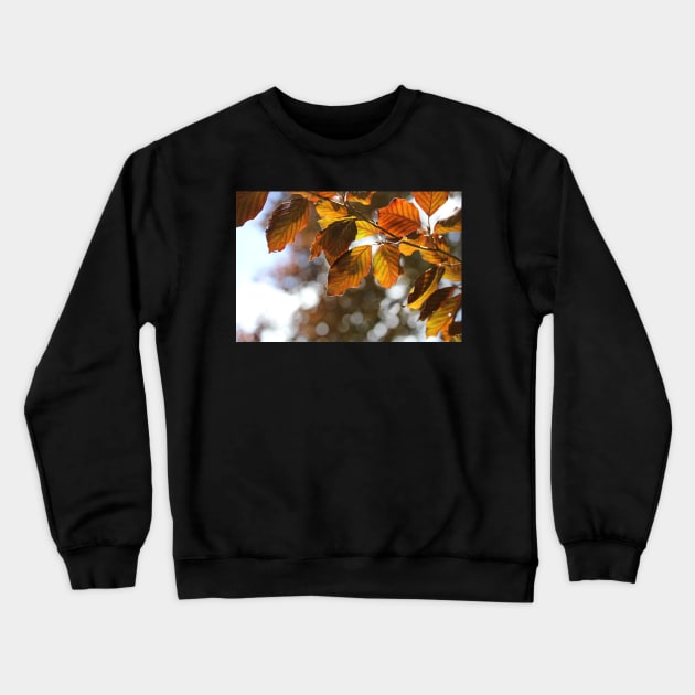 Copper Beech Crewneck Sweatshirt by gracethescene